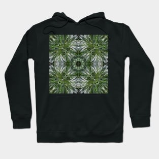 Stocksom Artemisia 5 Hoodie